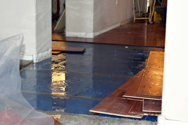 Professional Sewage Cleanup technician working in Granite Canon, WY